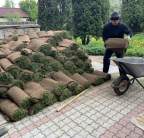 Деревня Глухово - устройство рулонного газона под ключ